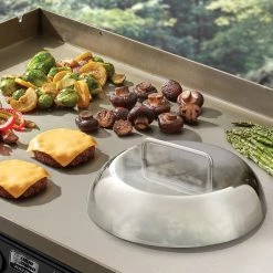 Grills & Outdoor Cooking Sales -Grills & Outdoor Cooking Sales 13815165