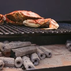 Flash Sale 😍 Prime 6 Grilling Fuels Premium sustainable reusable charcoal 9-lb Charcoal Briquettes 👍 -Grills & Outdoor Cooking Sales 40791405 scaled