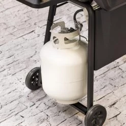 Best reviews of 🔔 American Gourmet Grills Black 2-Burner Liquid Propane Gas Grill 👏 -Grills & Outdoor Cooking Sales 42619324