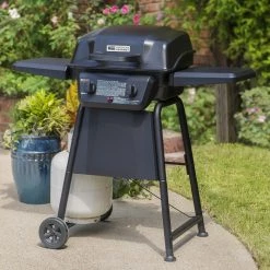 Best reviews of 🔔 American Gourmet Grills Black 2-Burner Liquid Propane Gas Grill 👏 -Grills & Outdoor Cooking Sales 42619329