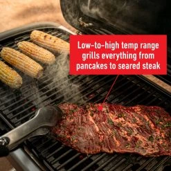 Deals ⭐ Weber Grills Traveler Portable Gas Grill ❤️ -Grills & Outdoor Cooking Sales 42720721