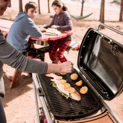 Deals ⭐ Weber Grills Traveler Portable Gas Grill ❤️ -Grills & Outdoor Cooking Sales 42720727 scaled