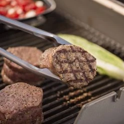 Best Pirce π Weber Grilling Tools & Accessories 2-Pack Stainless Steel Tool Set π 12 Best Pirce π Weber Grilling Tools & Accessories 2-Pack Stainless Steel Tool Set π -Grills & Outdoor Cooking Sales 44019269 scaled