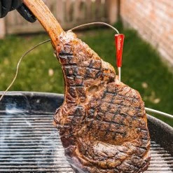 Cheap ⌛ GrillEye Grill Replacement Parts Iris Oval Grill Thermometer 🔥 -Grills & Outdoor Cooking Sales 44565665 scaled